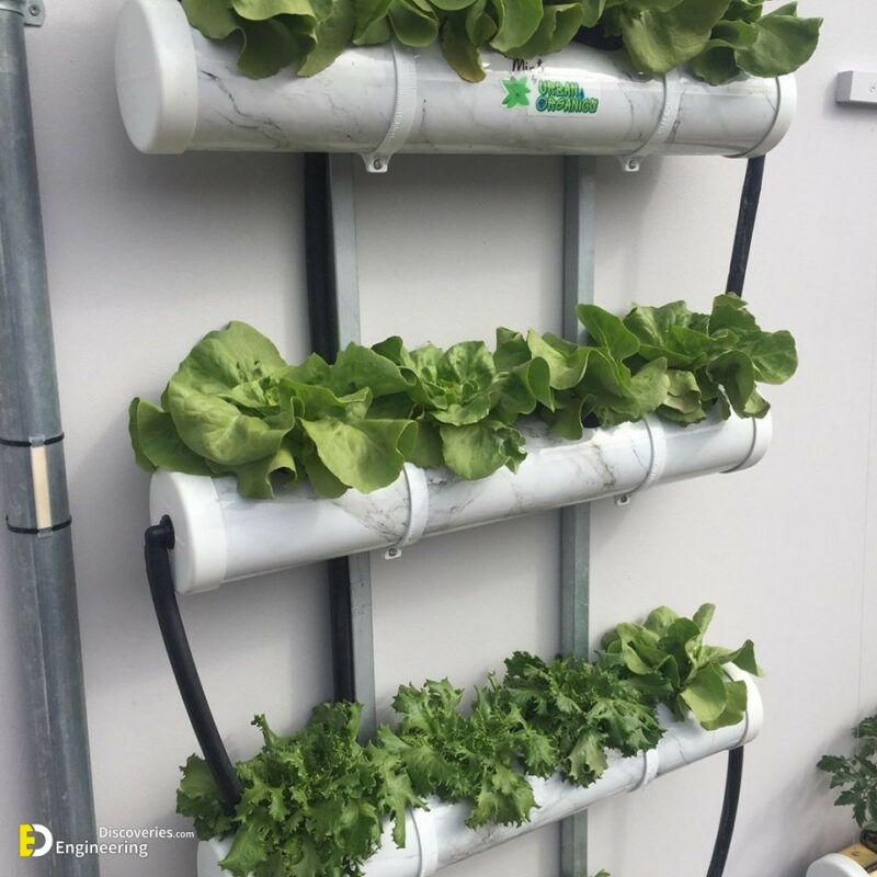 How To Make Home Garden And Fresh Vegetables By PVC Pipe Engineering