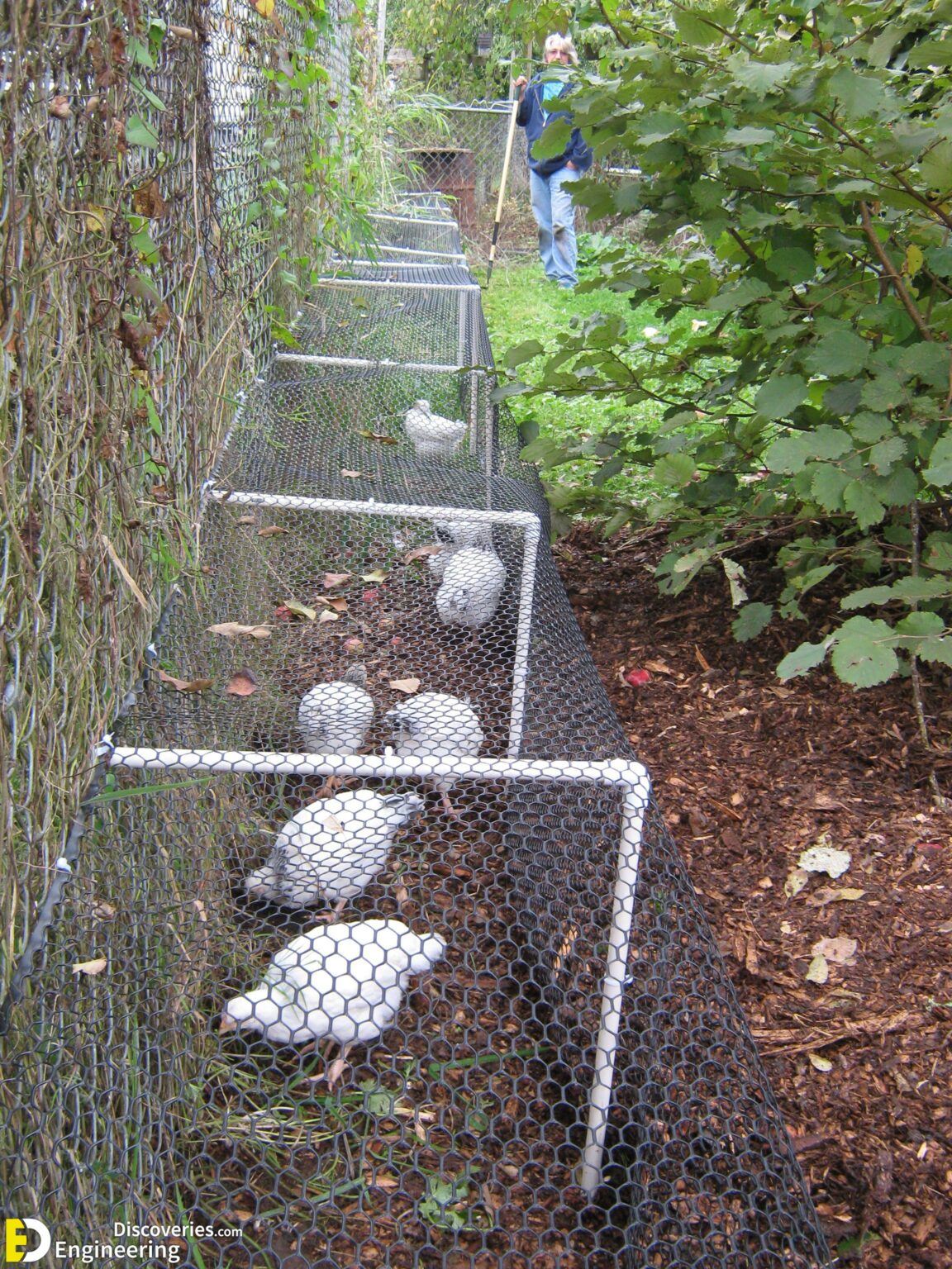 50 Beautiful DIY Chicken Coop Ideas You Can Actually Build