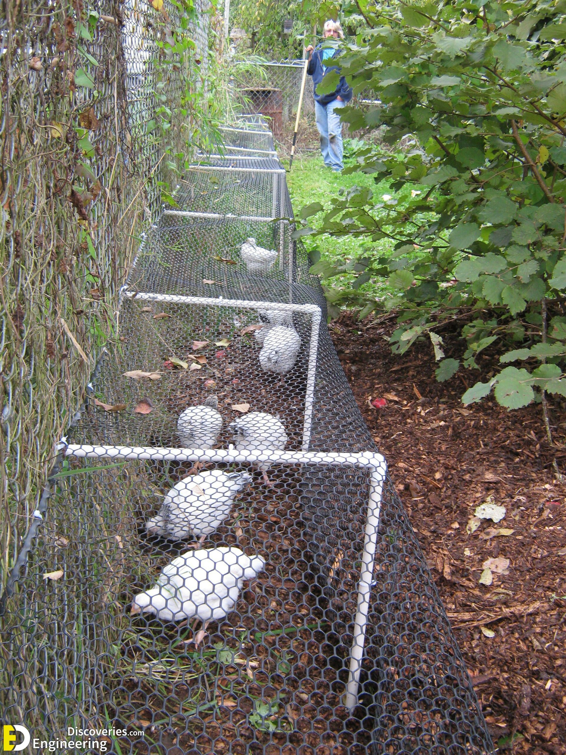 50-beautiful-diy-chicken-coop-ideas-you-can-actually-build