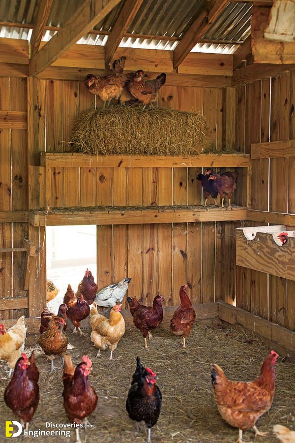 50 Beautiful DIY Chicken Coop Ideas You Can Actually Build 