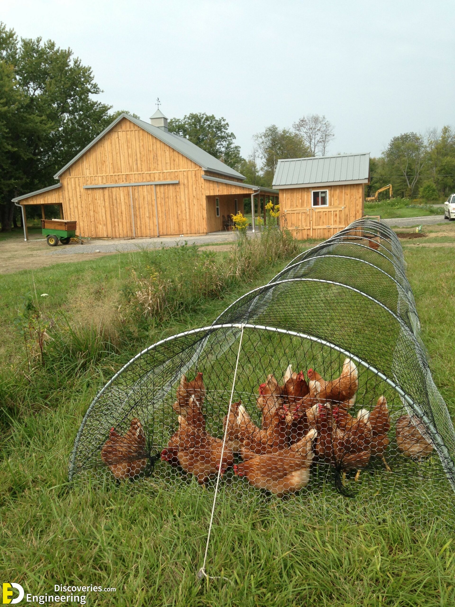 low cost diy chicken coop