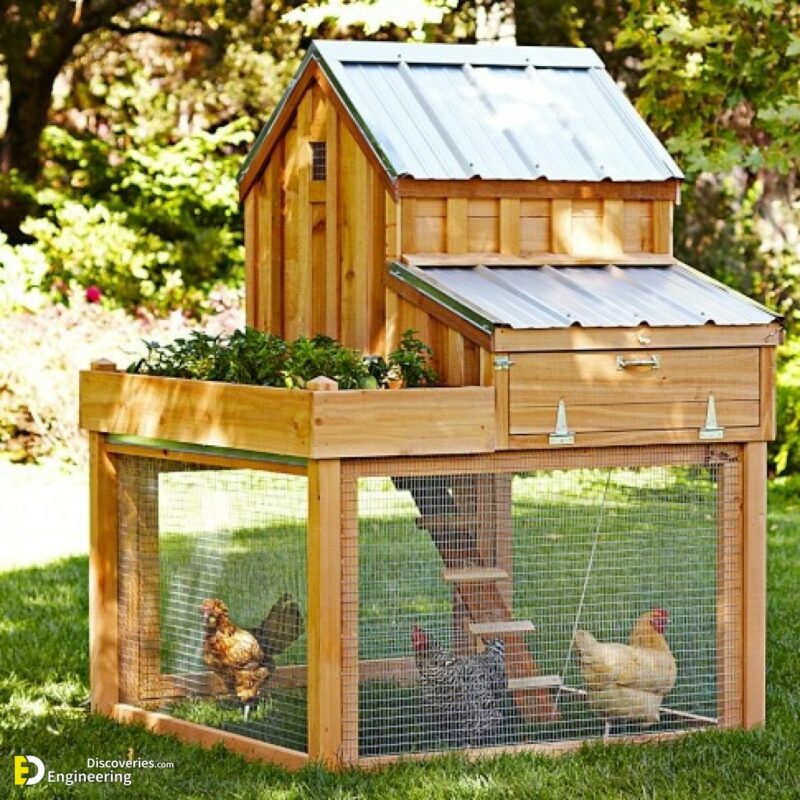 50 Beautiful DIY Chicken Coop Ideas You Can Actually Build ... - B7e9D335fb420faa3c055a7b3a95356b1 1200x1200 1 800x800